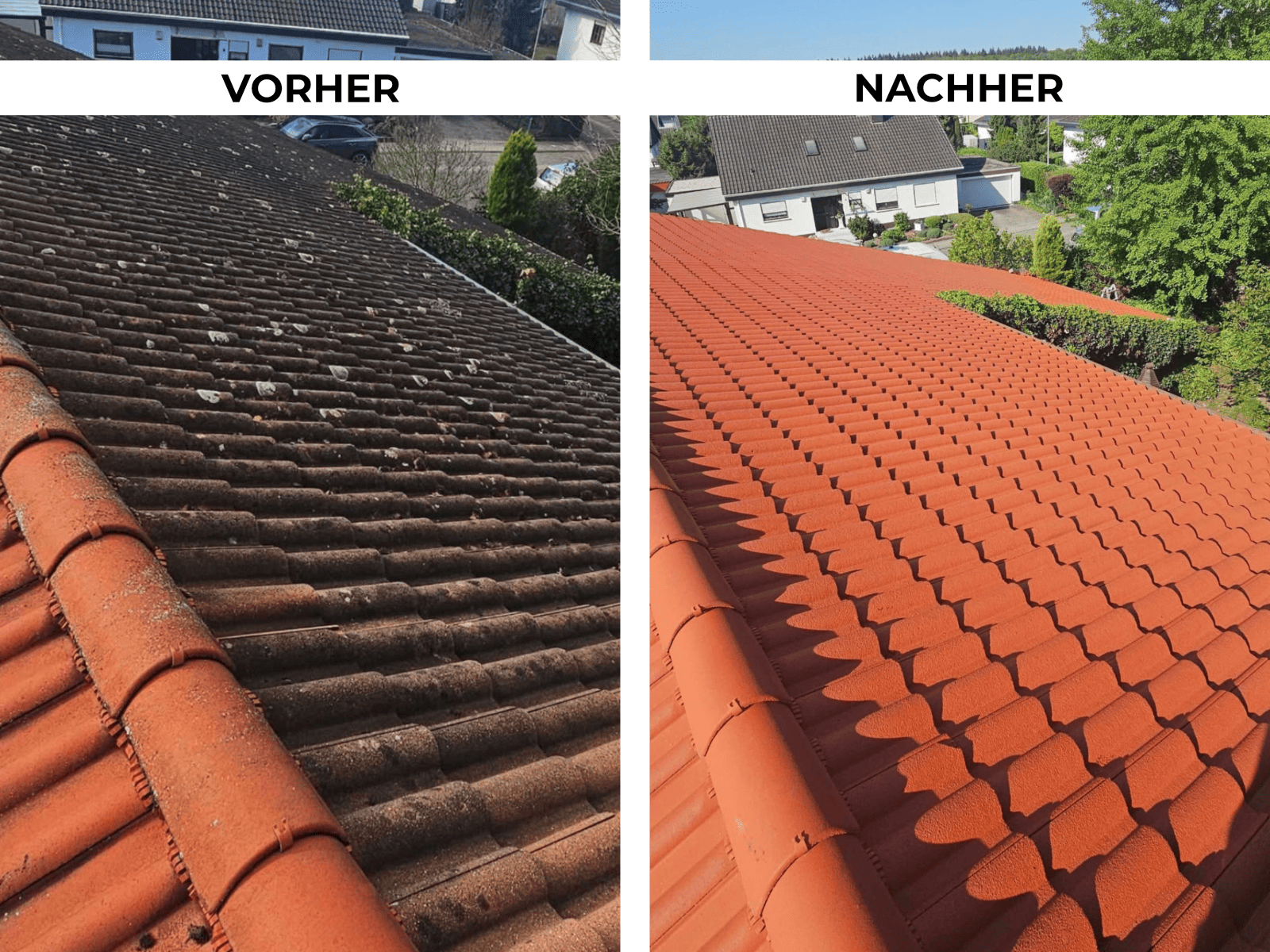 Dachreinigung Referenz 1