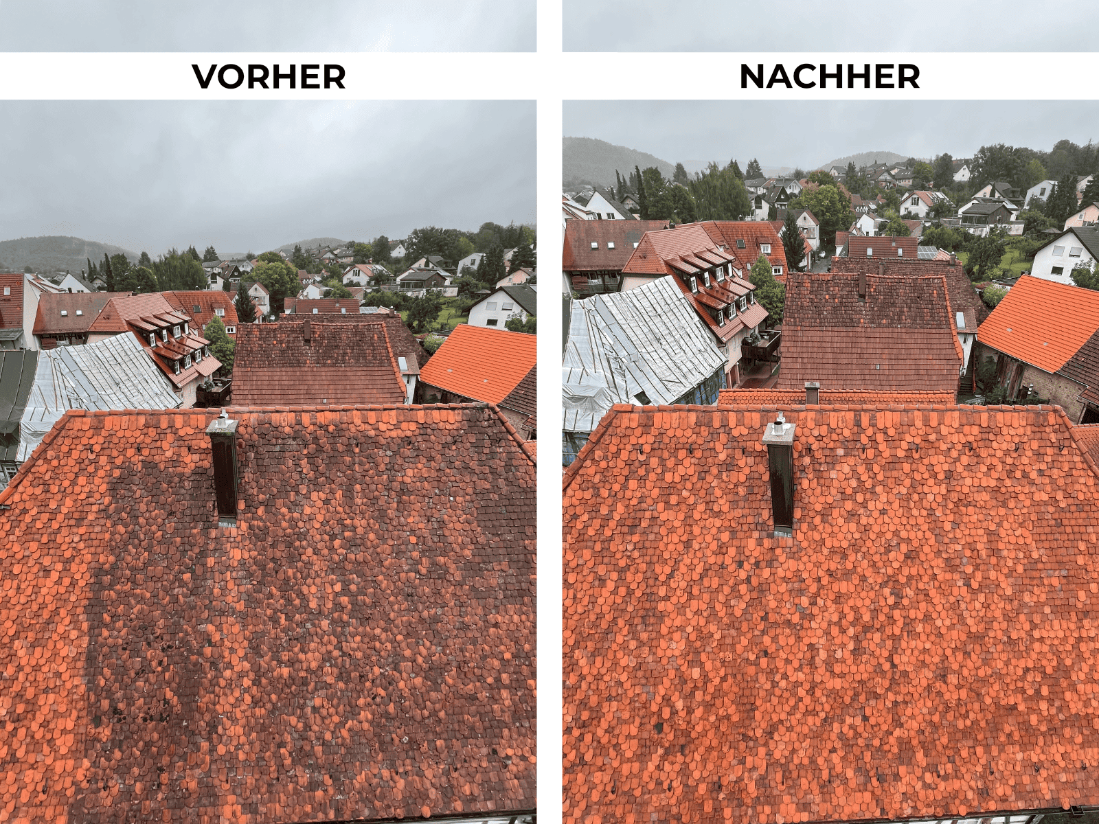 Dachreinigung Referenz 6