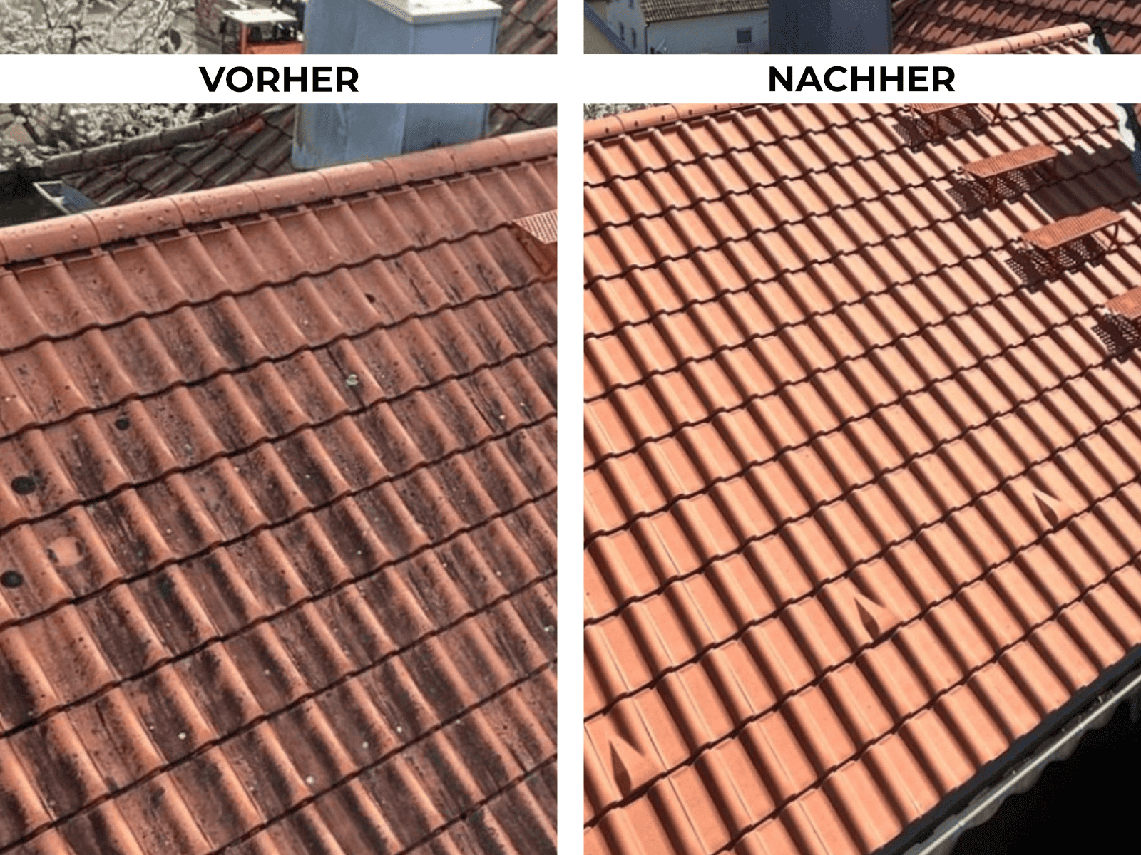 Dachreinigung Referenz 8