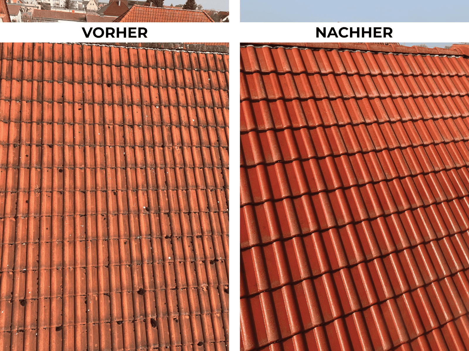 Referenz Dachreinigung 2