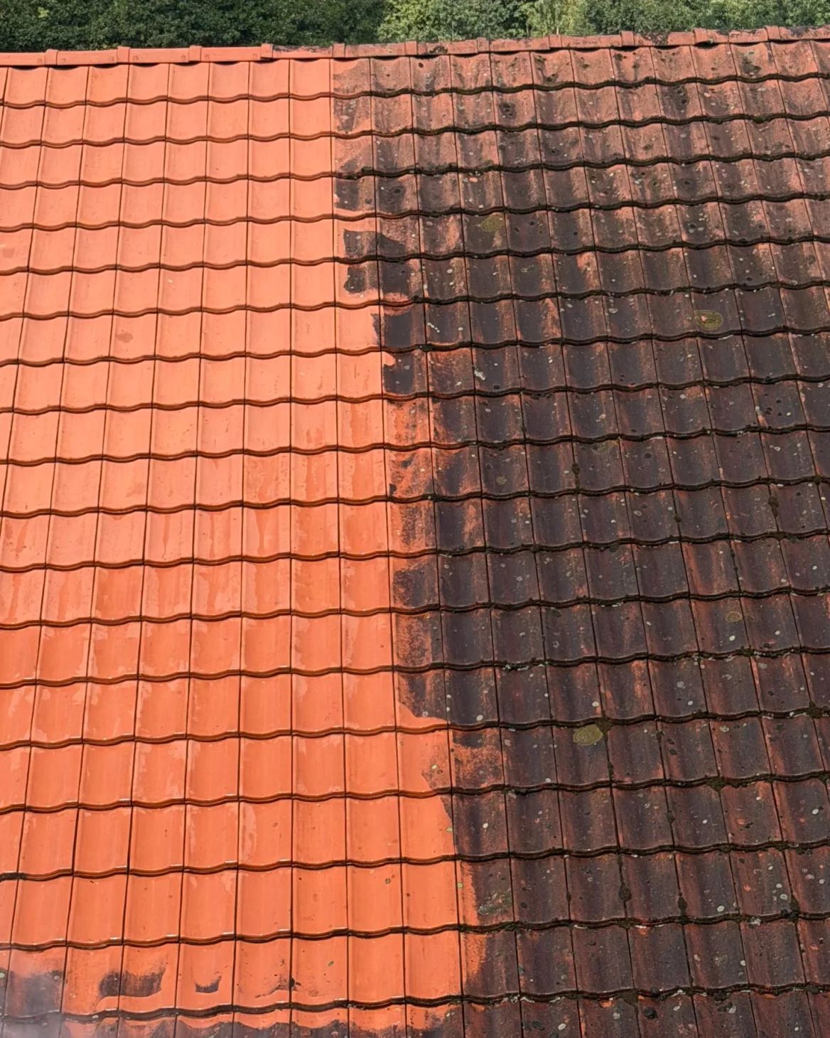 Ziegeldach zur Hälfte gereinigt