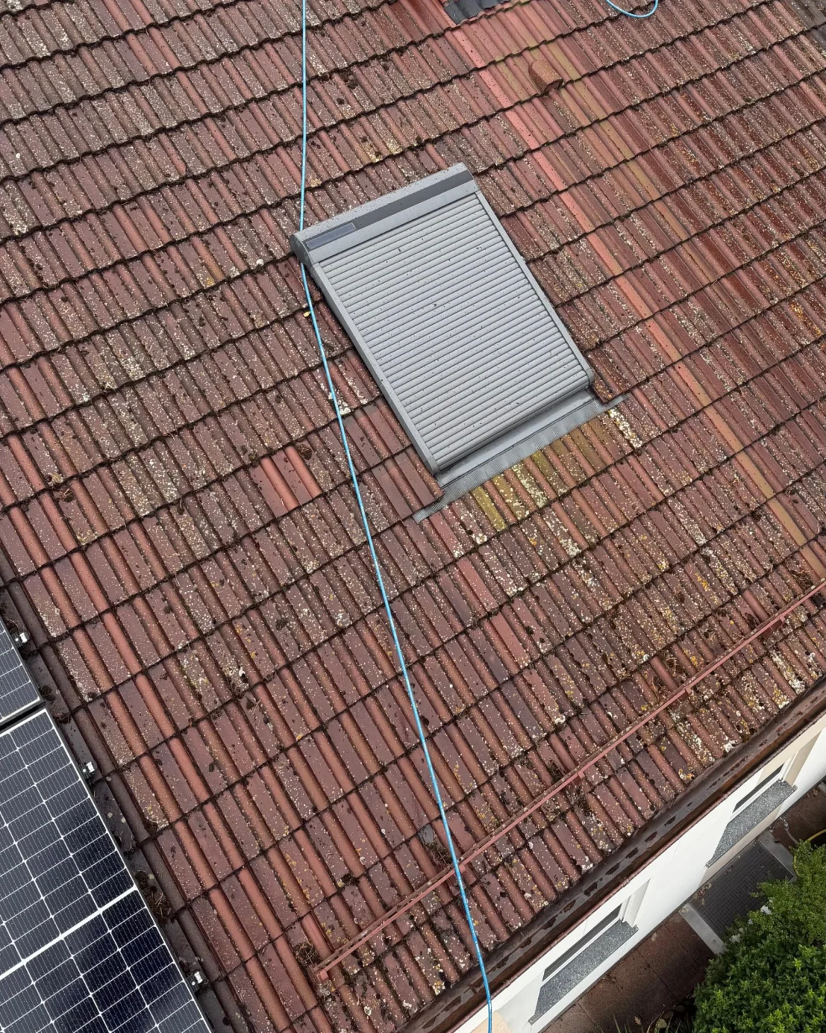 Ziegeldach mit dichtem Moos und Flechten