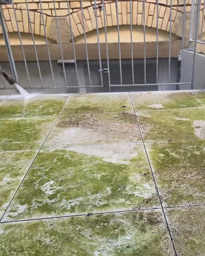 Terrasse mit Algen vor der Reinigung