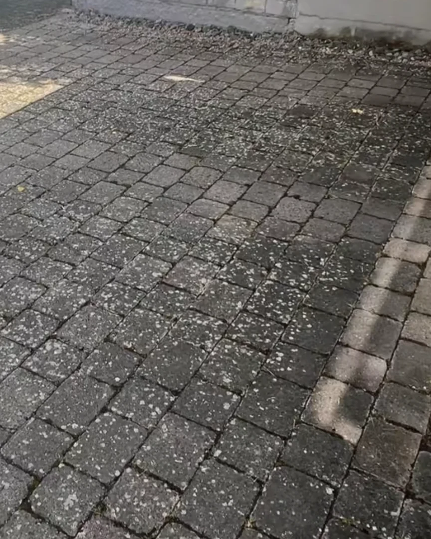 Pflasterfläche vor der Reinigung