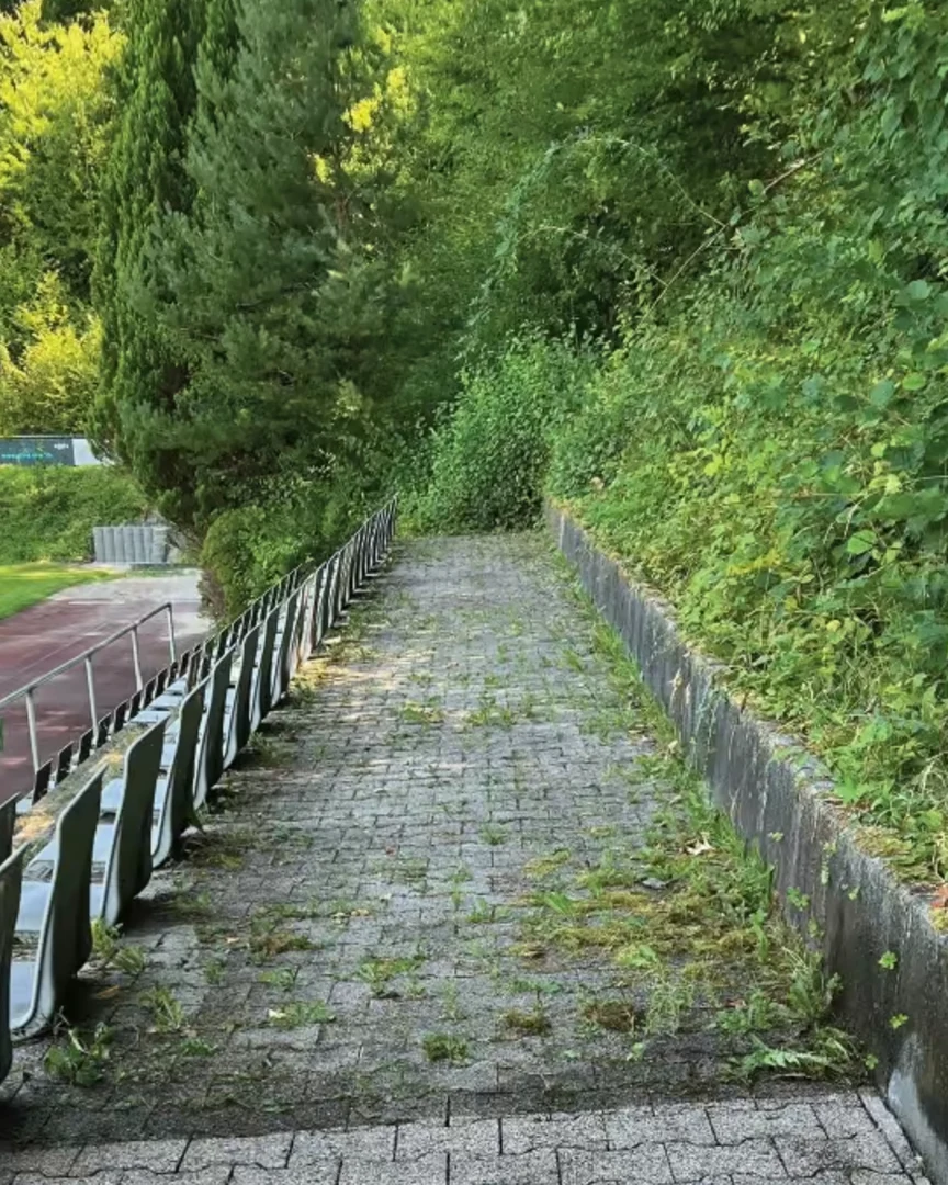 Weg am Hang vor der Reinigung