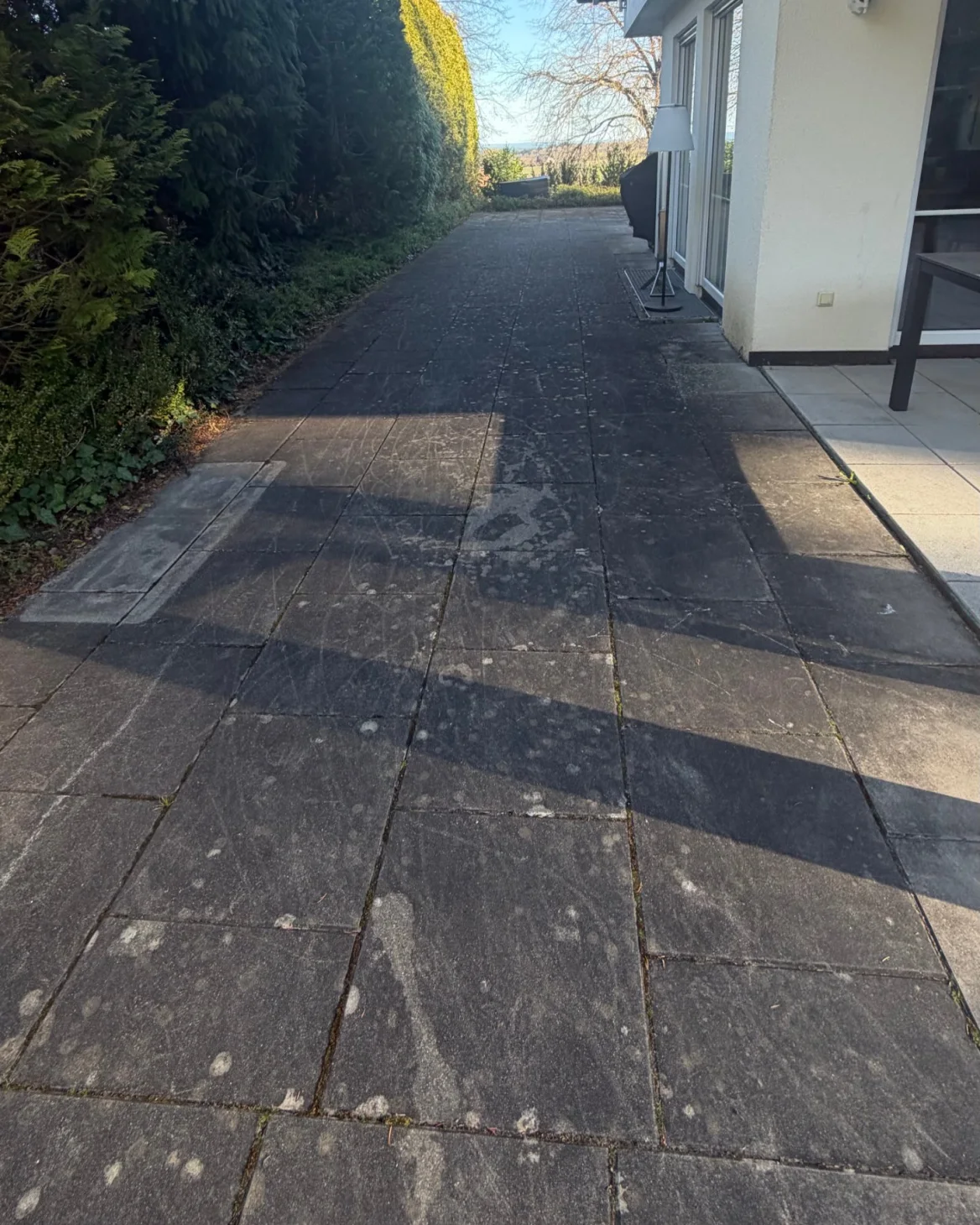 Terrassenplatten mit dunklem Grauschleier und hellen Flechten
