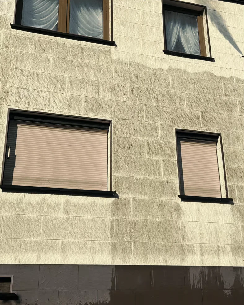 Strukturputz-Fassade vor der Reinigung