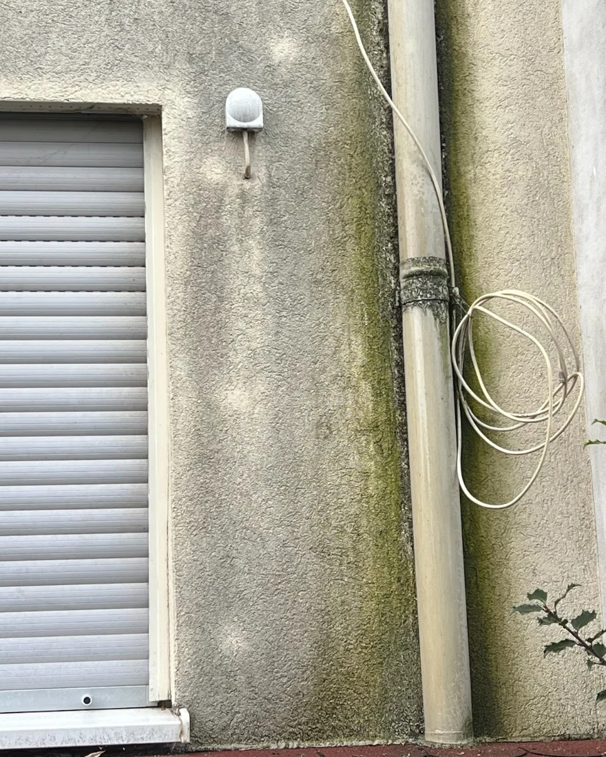 Moos frisst sich am Fallrohr in den Putz