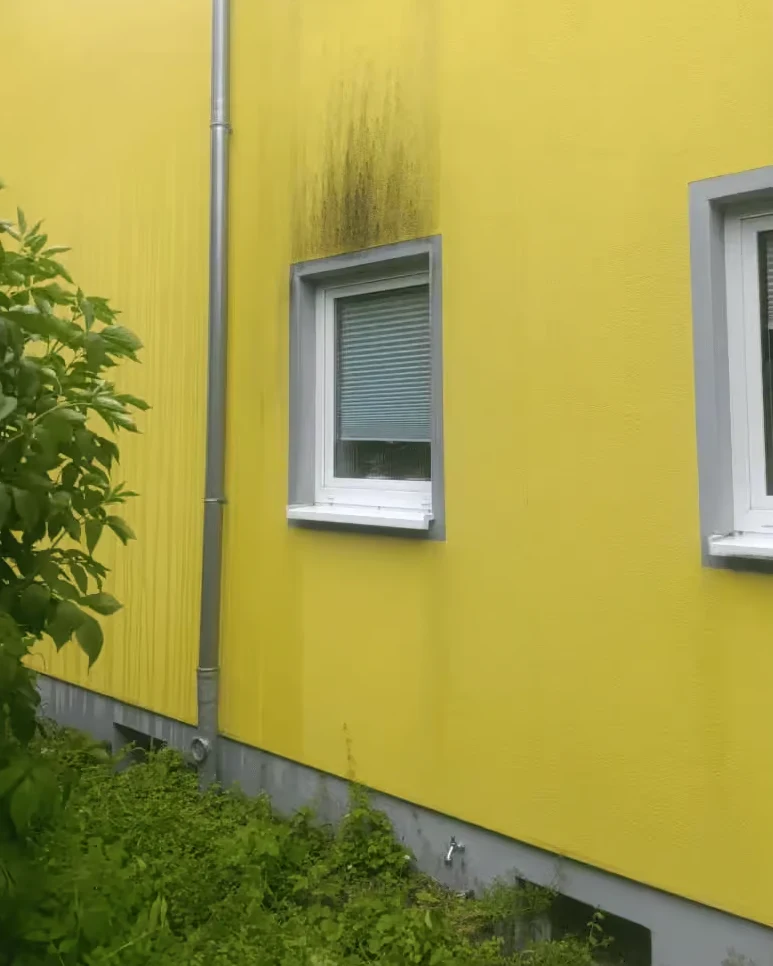 Gelbe Fassade vor der Reinigung