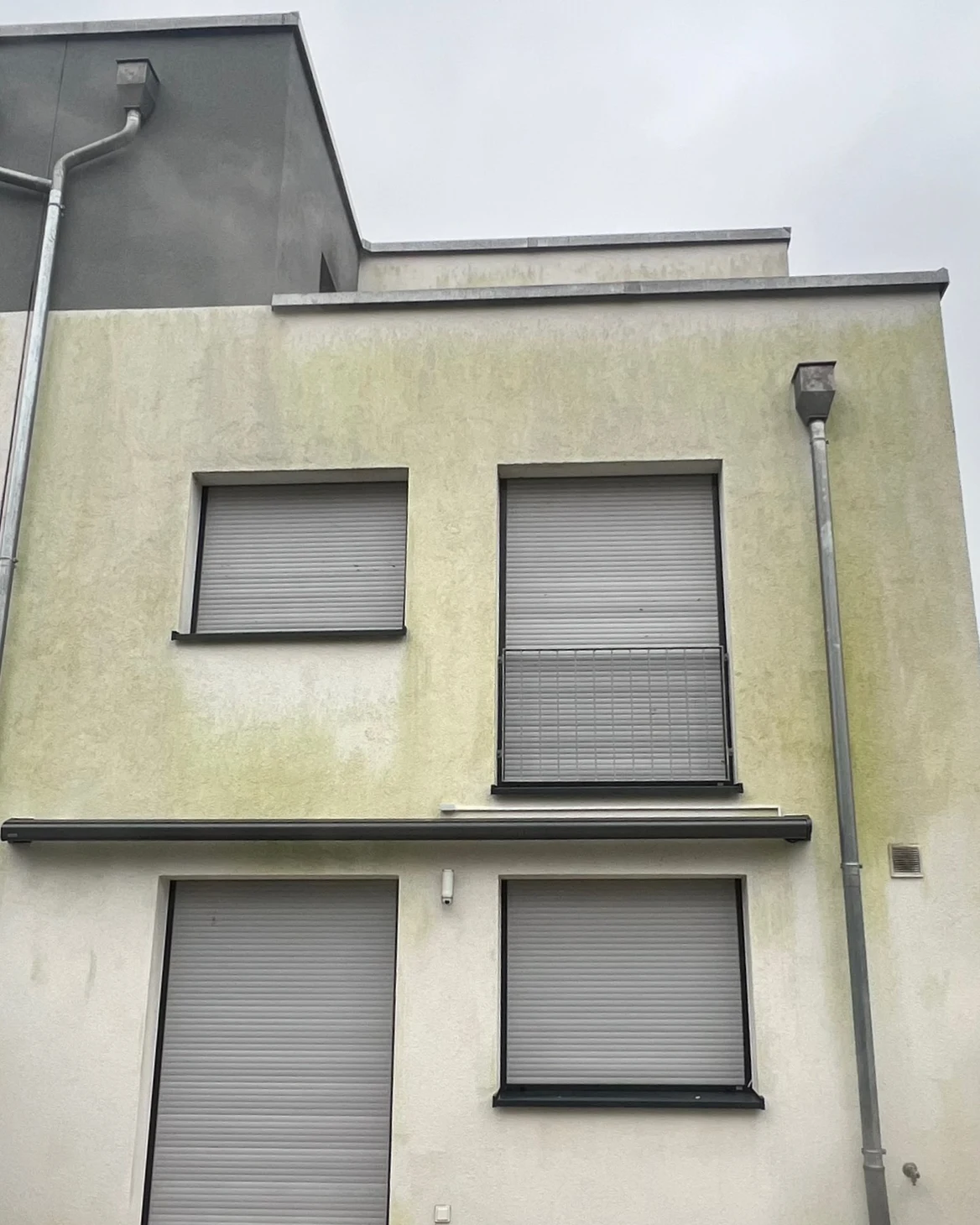 Grüne Algenschleier auf einer weißen Putzfassade